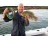 2nd small bluebone, released (caught on gulp crab)