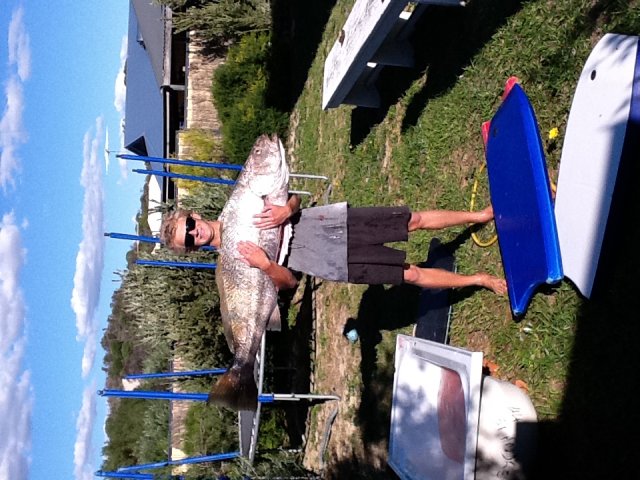 My mulloway 35kg