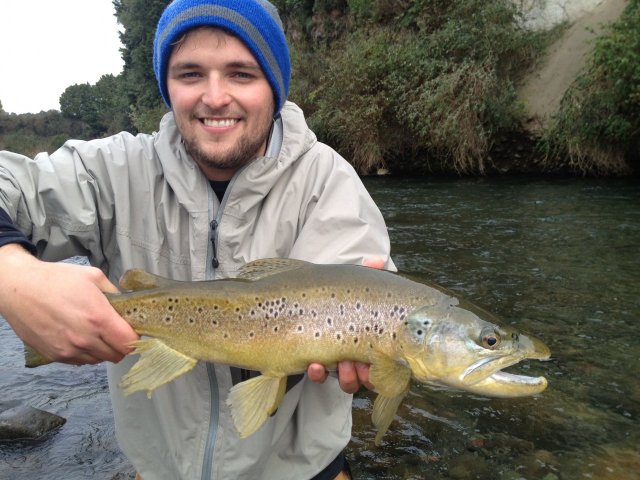 PB brown 5-6 pounds.....