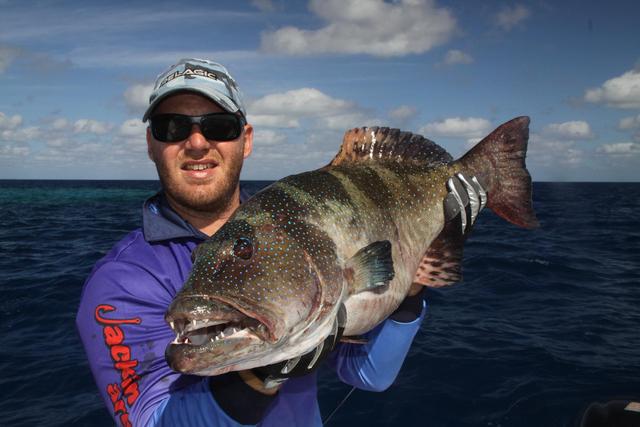 nice popped NC trout