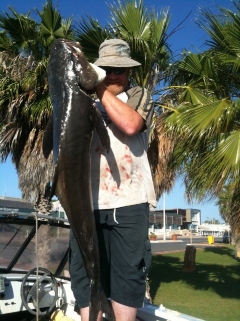  big reds cobia 