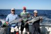 Abrolhos Islands May 2011 - Macks