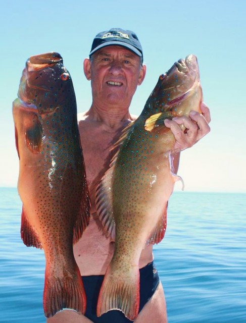 Pair of Pilbara trout