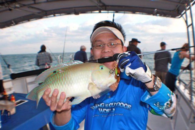 Baldchin groper ? Venus Tusk fish ? Parrot fish ? on jig