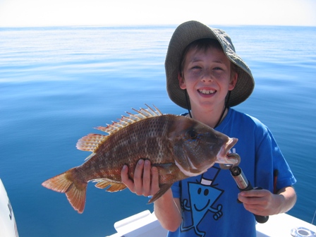 Josh's Blue lined emperor