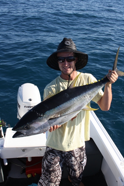 kalbarri yellow fin