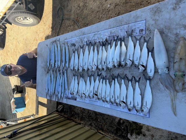 Inshore mix 