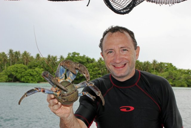 Coconut Crab