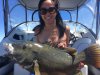 Mandurah Blue Grouper