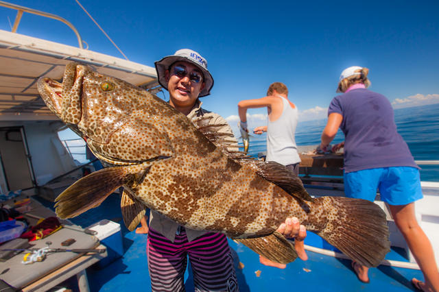 Jigged Up Exmouth Cod - POTM