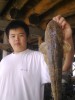 50cm flathead ,junior comp