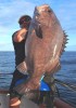 Seansurfy's Bass Grouper