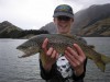 NZ Trout