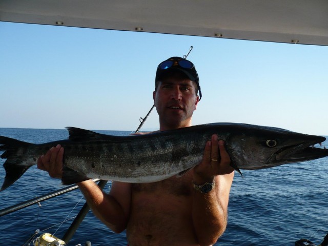 Burma barracuda