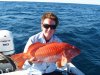 Nice coral trout caught off cliff head