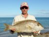 Very large robinson sea bream