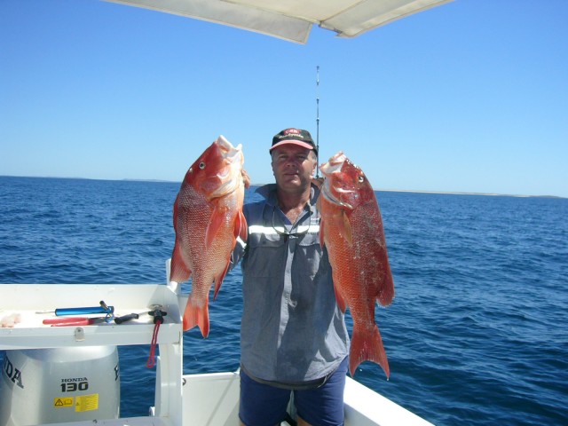 red emperor and chinaman fish