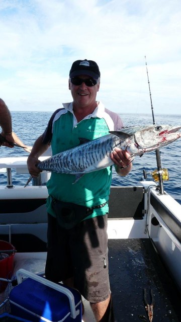 Abrolhos Spaniard