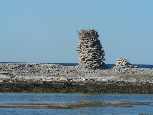 LOCAL OSPREYS NEST , ABROLHOS