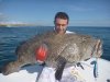 90lb Cod