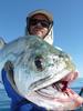 Big Queenfish off Peak Island in Exmouth