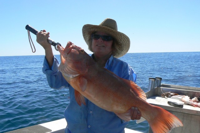 Rhonda's 82cm Trout