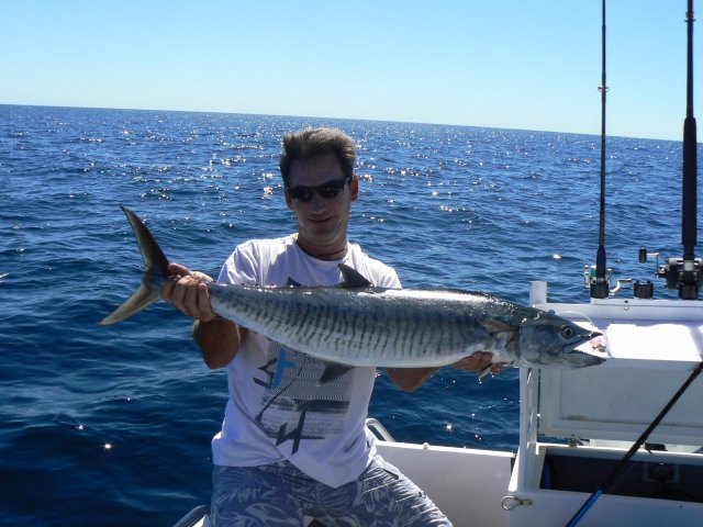 Spanish Mackerel 