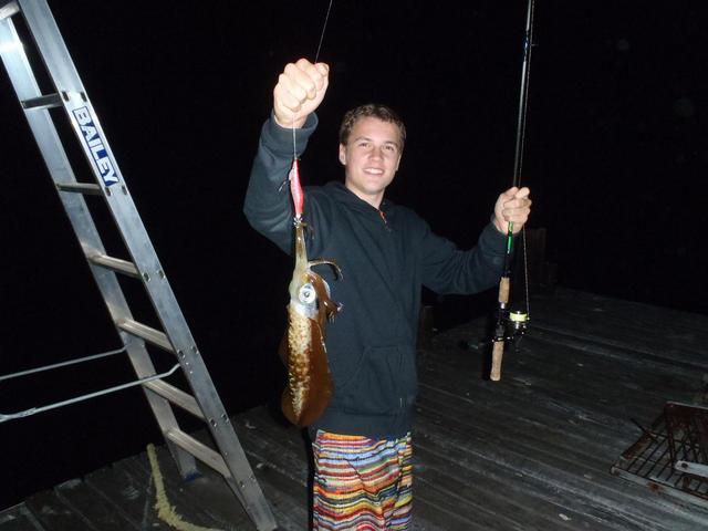 jys abrolhos squid