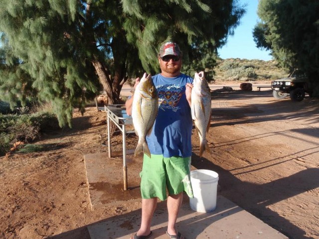 Spanglies caught off the beach in Exmouth last year.