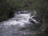 Trout fishing at the cascades.