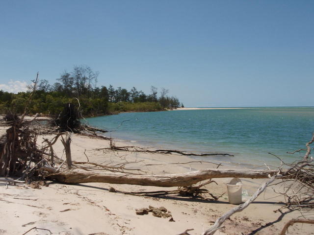 Goose Creek Melville Island Mouth