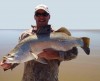 Pilbarabrad's Barramundi