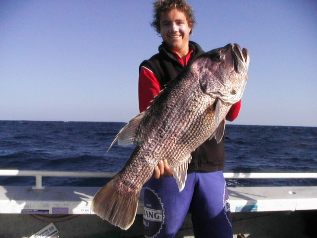 17kg dhuie