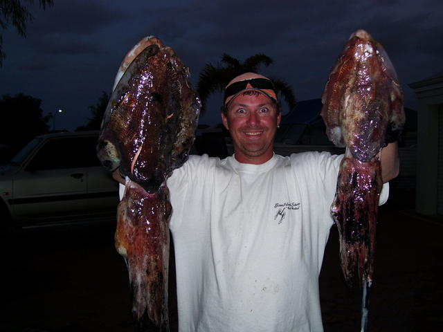 huge cuttlefish