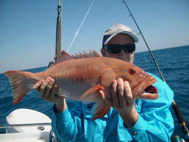 Jays Trout