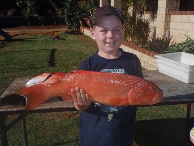 Young Blokes First Trout