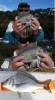 20080726 - Bream Fishing 6