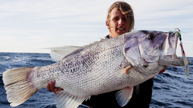 MINDARIE JIGGED DHUFISH