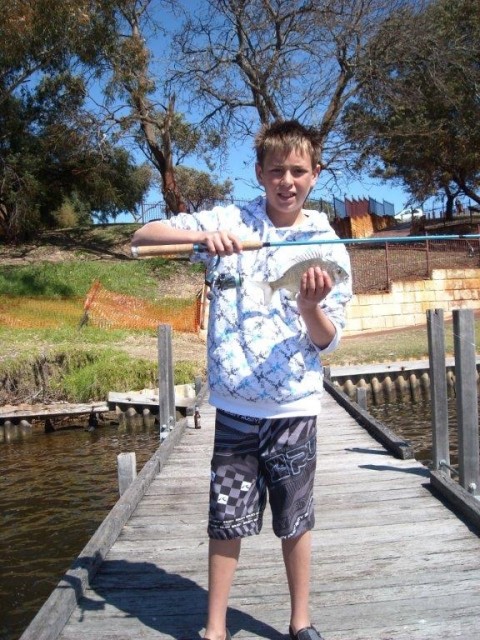 Maylands bream