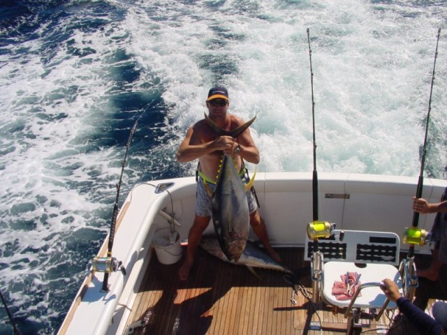 Yellowfin Tuna