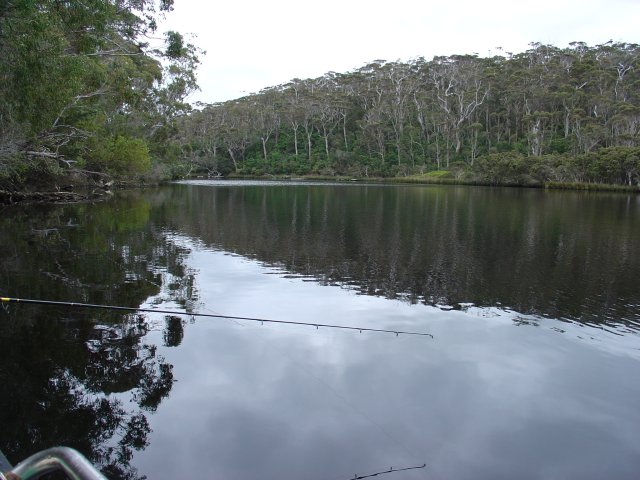 Walpole Black Bream Scenery