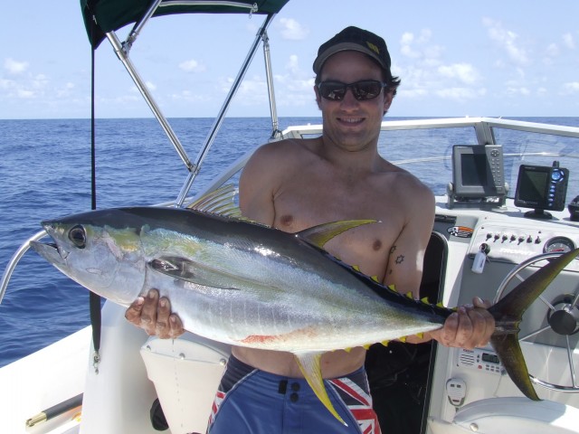 yellow fin tuna