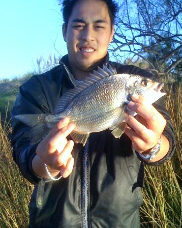 PB bream