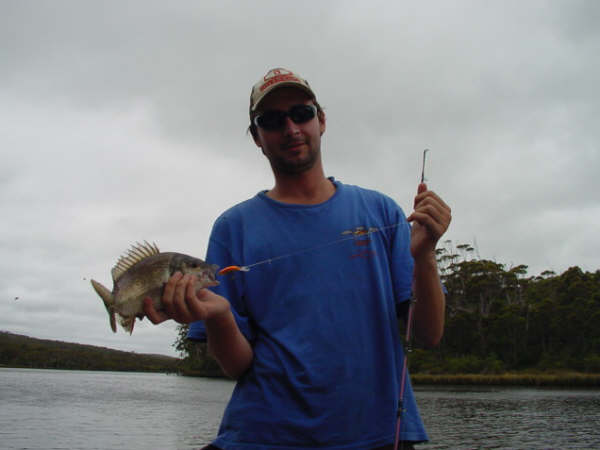 Black Bream on Hard Body