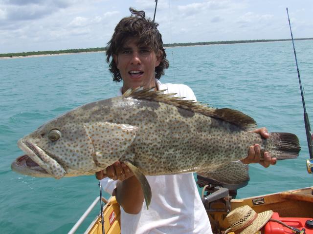 Weipa Cod