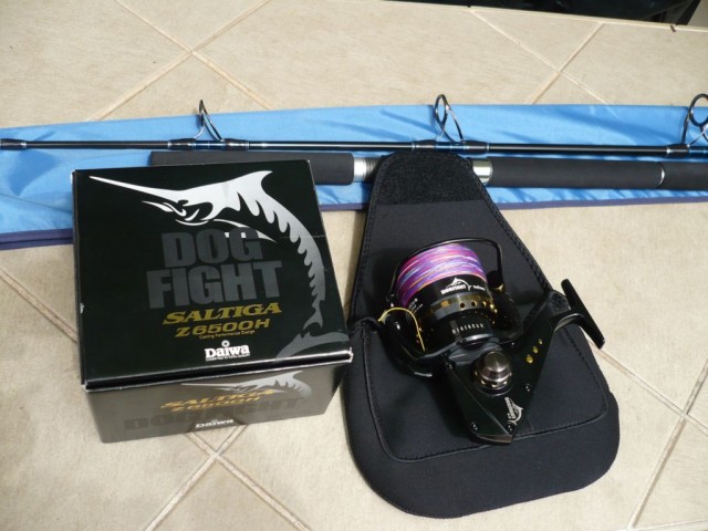 Daiwa saltiga dogfight and saltiga rod