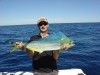 Dolphinfish