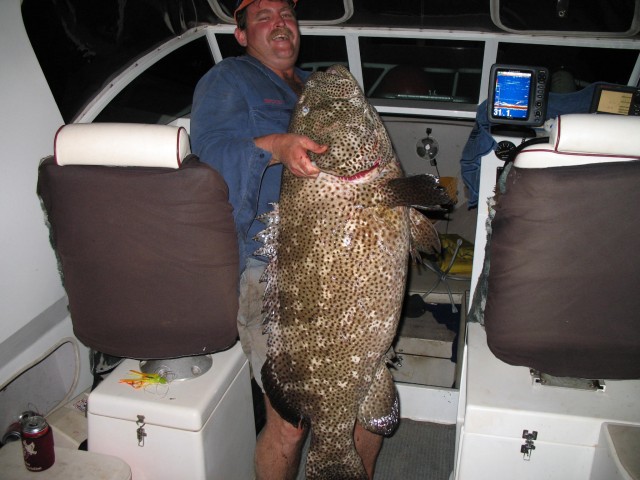 Bruces big Estuary Cod