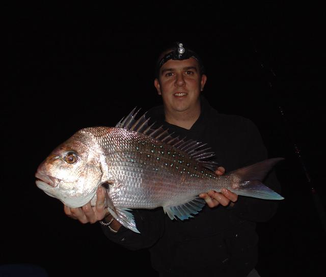 Gribbo's Pink Snapper