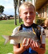 Bream1